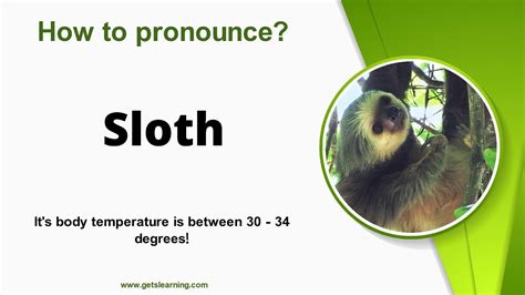How to say sloth in Filipino .